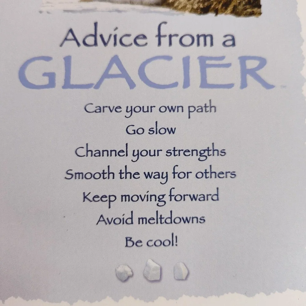 Advice For Life Glacier Greeting Card Motivational Note Card 100% Replanted